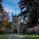 Rhinefield House is in a beautiful New Forest location