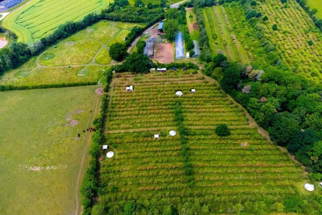 The Apple Farm