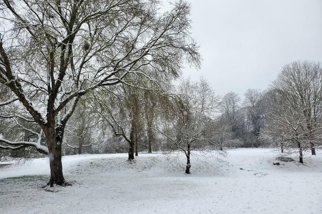 Snow on Priory Park