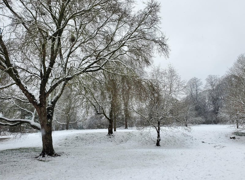 Snow on Priory Park