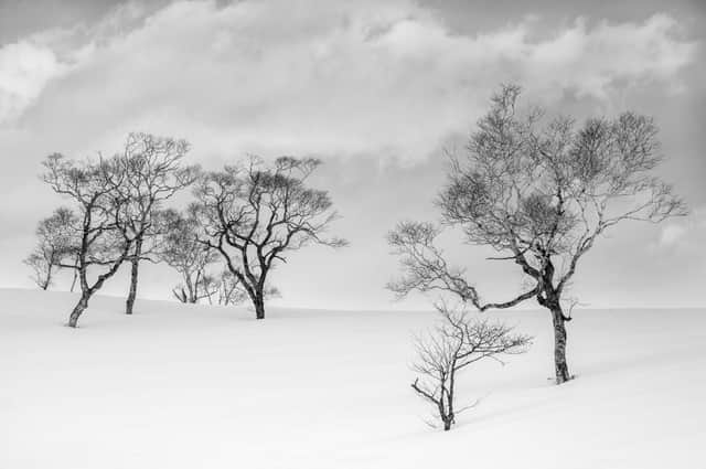 Photo by Paul Gallagher.