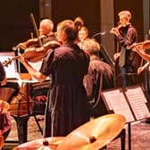 Members of Orchestra of the Swan