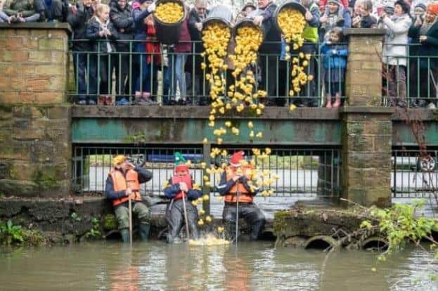 Kenilworth's Duck Race has become a popular Christmas tradition
