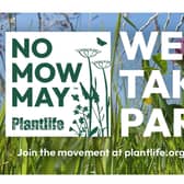 Warwick District Council is encouraging residents to join them in No Mow May. Photo supplied