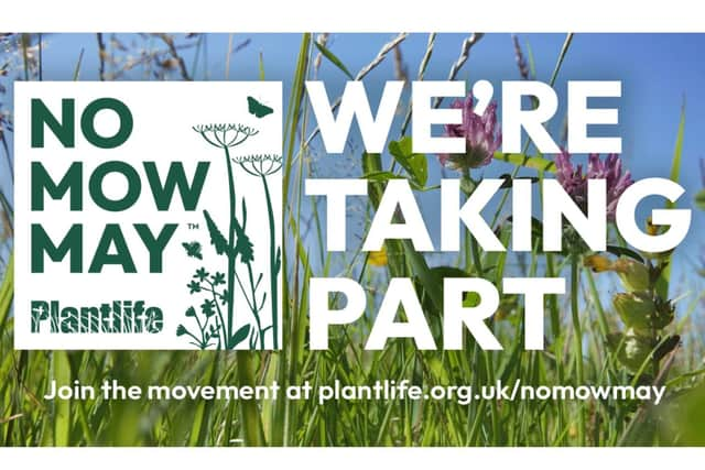 Warwick District Council is encouraging residents to join them in No Mow May. Photo supplied