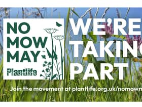 Warwick District Council is encouraging residents to join them in No Mow May. Photo supplied
