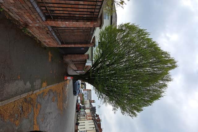 The Hornbeam Tree in Farley Street, Leamington, picture supplied.
