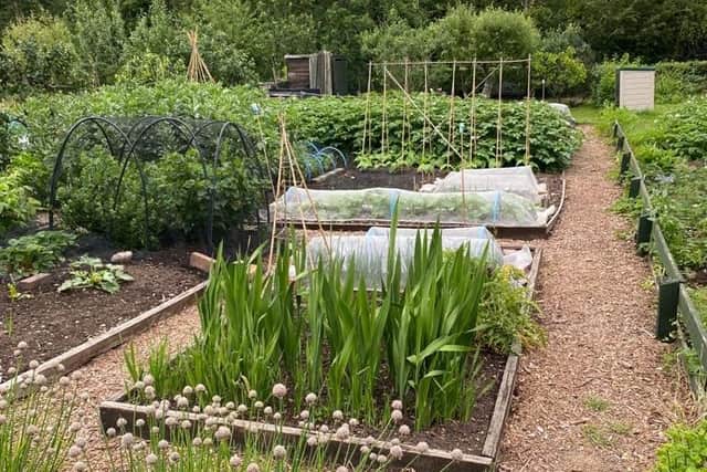 The gardening efforts of many Warwick residents will be judged this weekend in the annual allotments competition. Photo supplied by Warwick Town Council