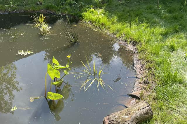 The large pond at Park Hill Junior School in Kenilworth will be restored thanks to funding from Warwickshire County Council’s Green Shoots Community Climate Change Fund. Photo supplied by Warwickshire County Council