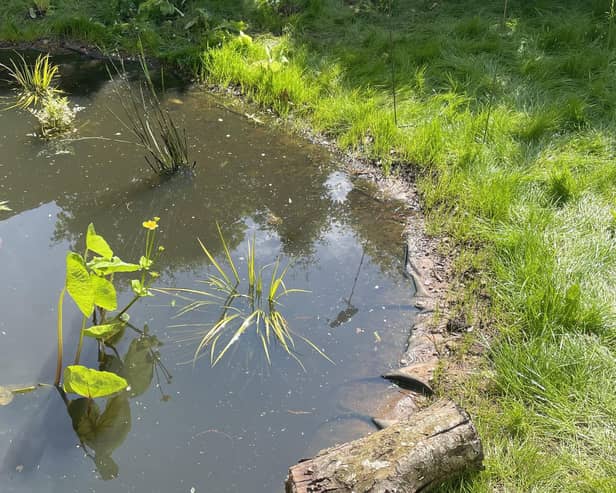 The large pond at Park Hill Junior School in Kenilworth will be restored thanks to funding from Warwickshire County Council’s Green Shoots Community Climate Change Fund. Photo supplied by Warwickshire County Council