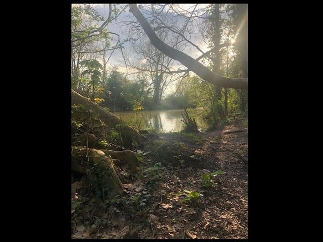 Riverside Walk by the River Leam in Leamington by Arnie