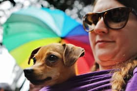 Well-behaved doggies are welcome to the event. Picture: Getty Images.