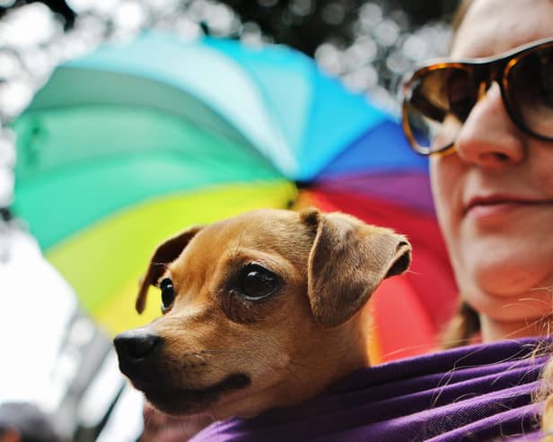 Well-behaved doggies are welcome to the event. Picture: Getty Images.