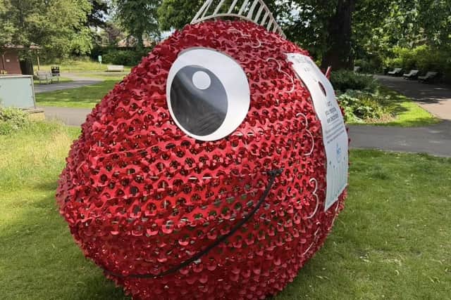 Plastic bottles collected inside the fish will be used in school projects and will also go towards the creation of new Christmas Lights in the town centre. Photo supplied