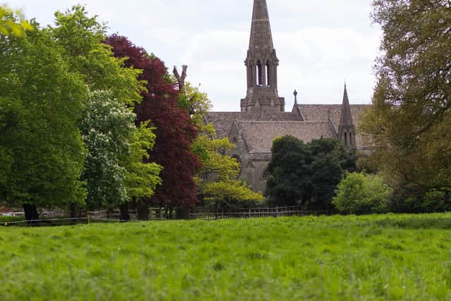 A view of the trees near St Leonard's Church at Charlecote. Photo by Jana Eastwood