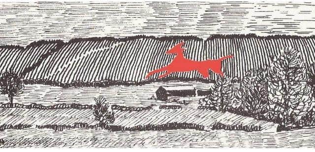 A graphic showing the proportions of the red horse near Tysoe
