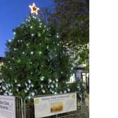 The popular Lights of Love will be put on the Christmas tree in Warwick again this year to celebrate and remember loved ones. Photo supplied