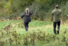 Footage from a video by West Midlands Hunt Saboteurs, which they say shows members chasing the hounds away from a fox.