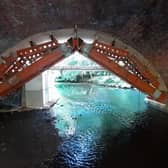 Heavy duty propping beneath the arches of Baginton Mill bridge make sure they remain safe while stones are replaced. Photo supplied by Warwickshire County Council