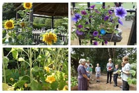 Photos from the Kenilworth in Bloom Schools Gardening Competition. Pictures supplied.