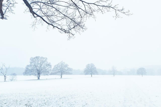 Snow on Saxon Mill Fields