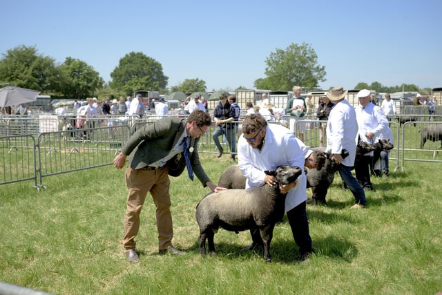Visitors to the show saw events ranging from the grand parade of livestock, modern and vintage machinery, classic cars, children’s entertainment and live music. Photo by Jamie Gray
