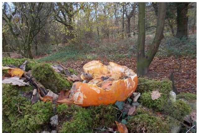 The Woodland Trust is urging people to not dump their pumpkins in woods as it can endanger wildlife. Photo by Woodland Trust