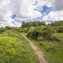 Two nature reserves near Southam have gone back under management of Warwickshire County Council after being looked after by the Warwickshire Wildlife Trust for more than 40 years. Photo of Ufton Fields Nature Reserve, courtesy of Steven Cheshire/Warwickshire Wildlife Trust