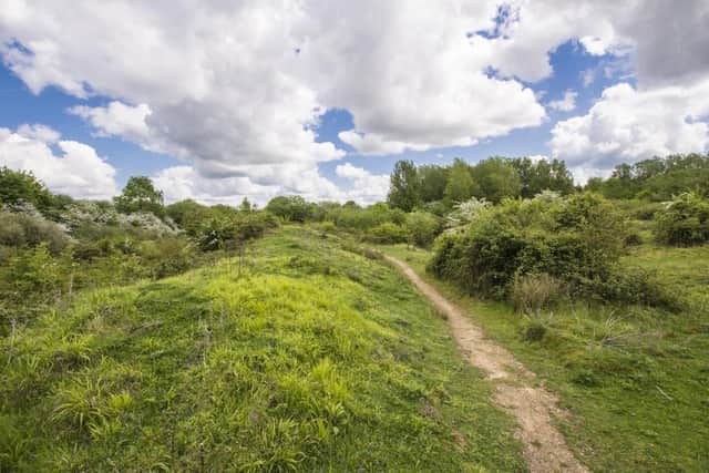 Two nature reserves near Southam have gone back under management of Warwickshire County Council after being looked after by the Warwickshire Wildlife Trust for more than 40 years. Photo of Ufton Fields Nature Reserve, courtesy of Steven Cheshire/Warwickshire Wildlife Trust