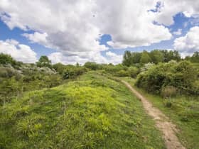 Two nature reserves near Southam have gone back under management of Warwickshire County Council after being looked after by the Warwickshire Wildlife Trust for more than 40 years. Photo of Ufton Fields Nature Reserve, courtesy of Steven Cheshire/Warwickshire Wildlife Trust