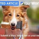Use the 'Submit a Story' link to tell us your news