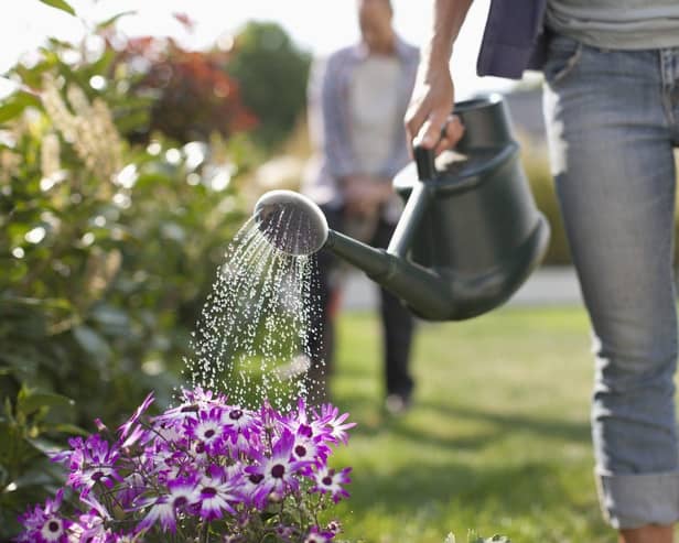 Keeping your garden green during hotter weather