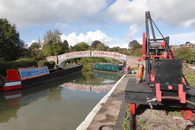 Poppies at Braunston Marina.