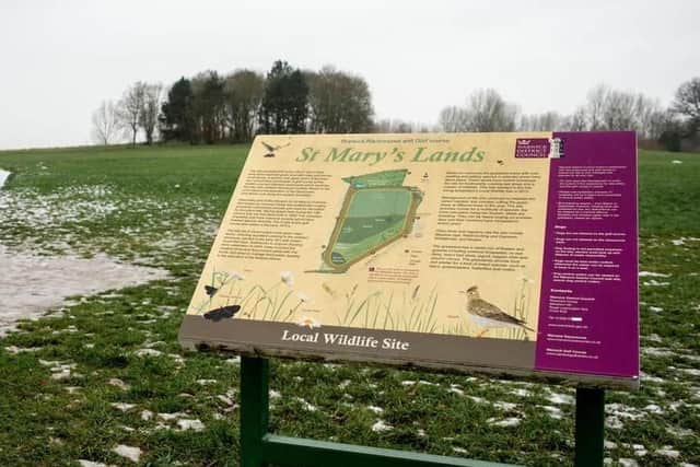 Warwick District Council is set to continue its trial of measures this spring and summer to 'aid the recovery of endangered bird populations on St Mary’s Lands in Warwick'. Photo by Mike Baker