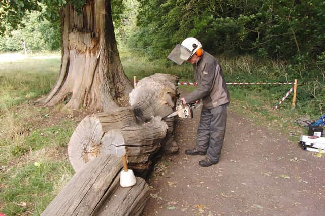 Carver Graham Jones was seen making sculptures in Priory Park. Photo by Geoff Ousbey