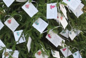 Pretty cards on the tree