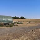 The fields at FARS in Wolverton have turned dry due to the lack of rainfall recently meaning the animal rescue sanctuary has had to make extra orders of hay to feed some of its animals. The sanctuary has said it has reached 'crisis point' and is appealing for donations. Picture supplied.