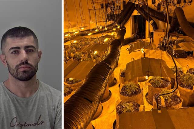 Enfrid Mertika, a 31-year-old man of no fixed abode, has been sentenced to 28 months in prison after a guilty plea for production of cannabis following a raid in Warwick. Photos supplied by Warwickshire Police