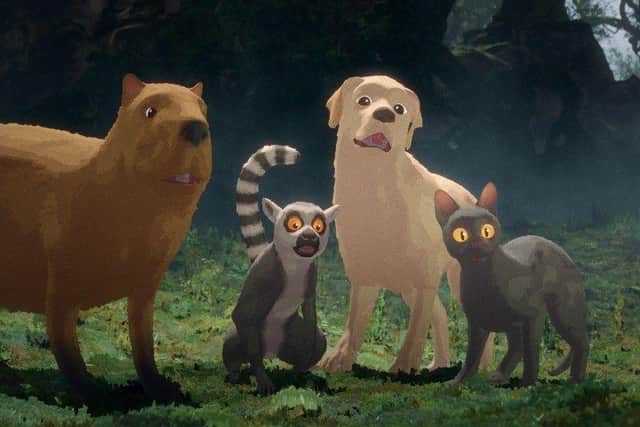 Meet the animals from the Oscar-winning animated movie, Flow (Cert U) - a delightful adventure for both children and adults.