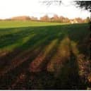 The site where the Oakley Grove School will be built. Photo supplied