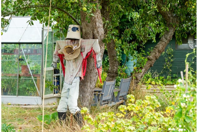 One of the scarecrows created ahead of the open day. Photo by Mike Baker