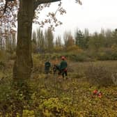 The Warwickshire Country Parks service has led recently work drive at Ufton Fields Nature Reserve, a site that was brought back under the management of Warwickshire County Council earlier this year. Photo supplied by Warwickshire County Council