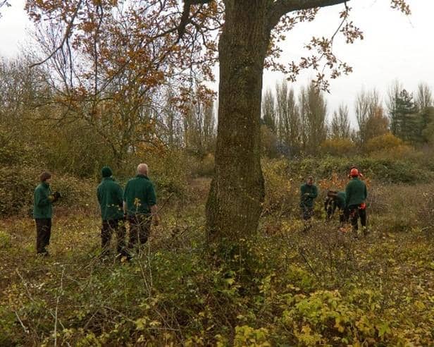 The Warwickshire Country Parks service has led recently work drive at Ufton Fields Nature Reserve, a site that was brought back under the management of Warwickshire County Council earlier this year. Photo supplied by Warwickshire County Council