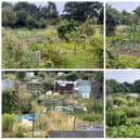 The winners of Warwick Town Council’s Annual Allotments Competition have been announced.