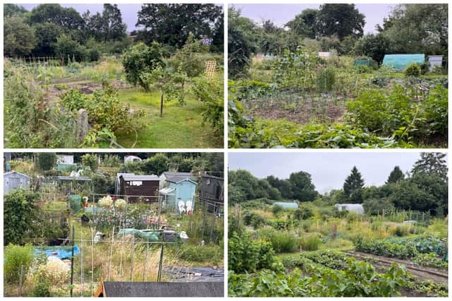 The winners of Warwick Town Council’s Annual Allotments Competition have been announced.