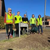 Bee Friendly Warwick and local residents have created a wildflower verge in the town. Photo supplied