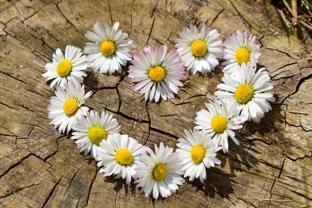 Nature will be the inspiration for a new art course in Atherstone
