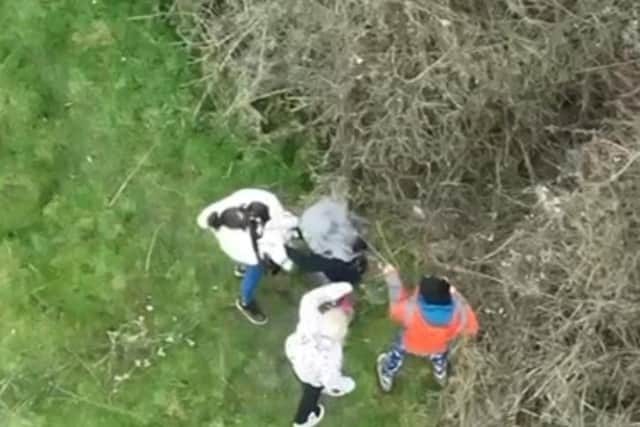 Rescuers cut brambles and hedging to get to the young cocker spaniel