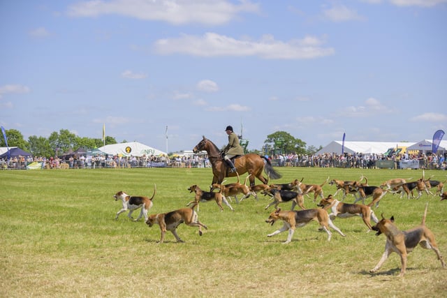 The show featured classic countryside events with horses, dogs, and the farming community all in starring roles. Photo by Jamie Gray