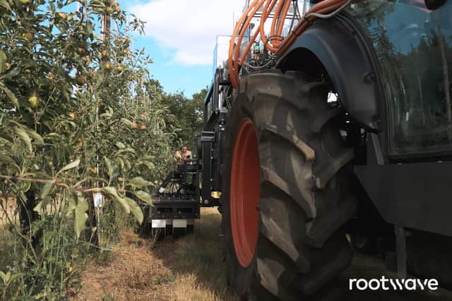 Rootwave in action. Picture supplied.
